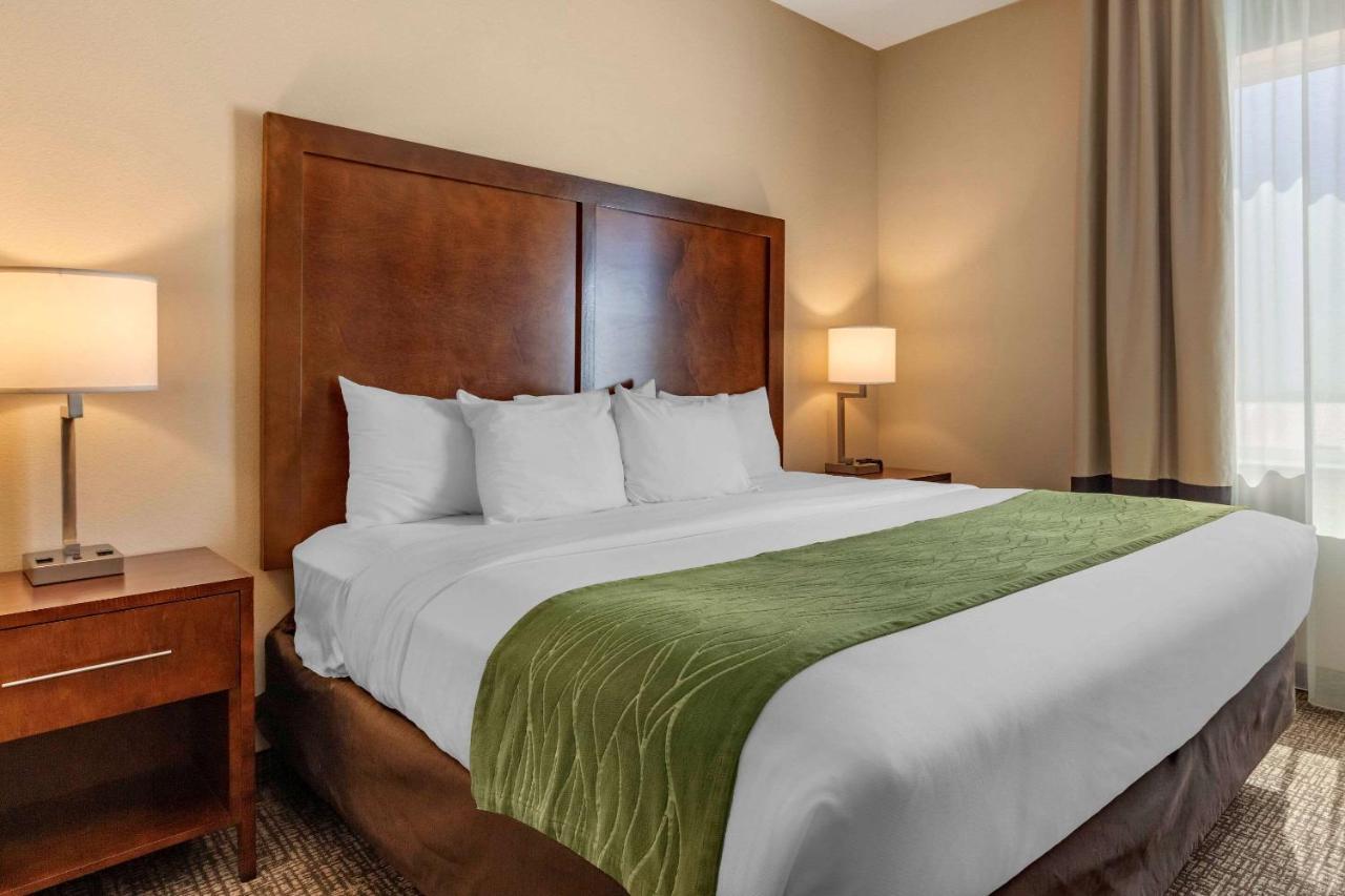 Edgewood Comfort Inn & Suites מראה חיצוני תמונה