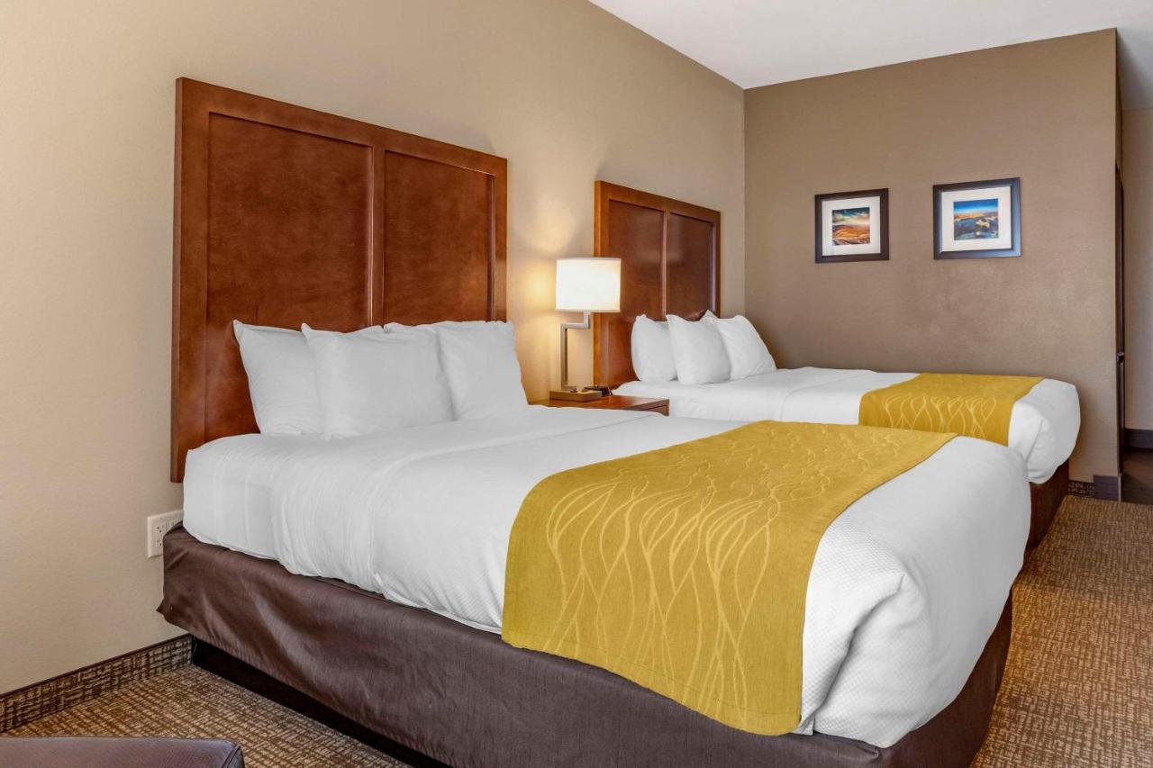 Edgewood Comfort Inn & Suites מראה חיצוני תמונה